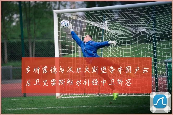 多特蒙德与沃尔夫斯堡争夺图卢兹后卫克雷斯维尔补强中卫阵容
